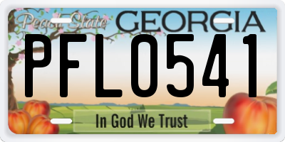 GA license plate PFL0541