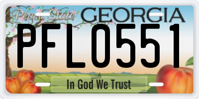 GA license plate PFL0551