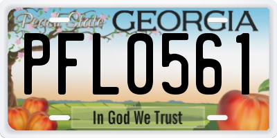 GA license plate PFL0561