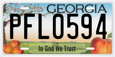 GA license plate PFL0594