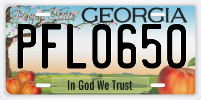 GA license plate PFL0650