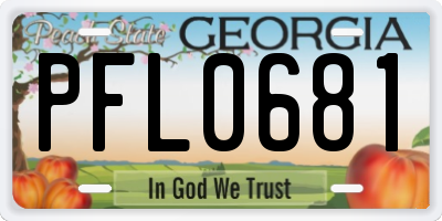 GA license plate PFL0681
