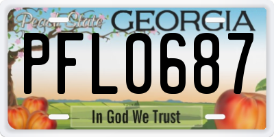 GA license plate PFL0687