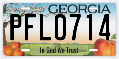 GA license plate PFL0714