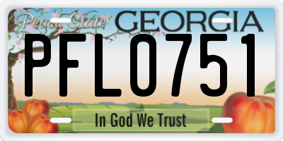 GA license plate PFL0751