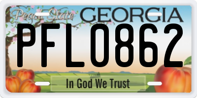 GA license plate PFL0862