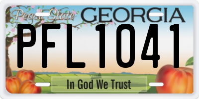 GA license plate PFL1041