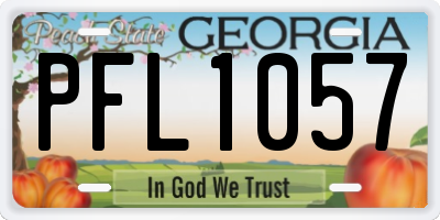 GA license plate PFL1057