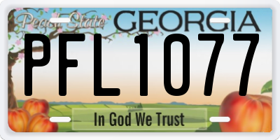 GA license plate PFL1077