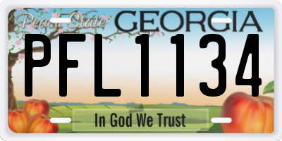GA license plate PFL1134