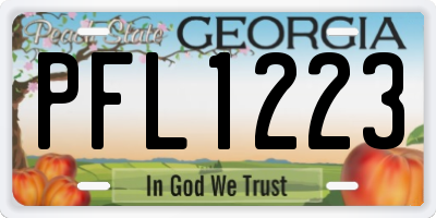 GA license plate PFL1223