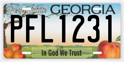 GA license plate PFL1231