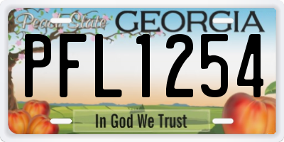 GA license plate PFL1254