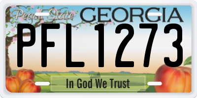 GA license plate PFL1273