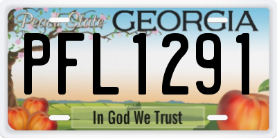 GA license plate PFL1291