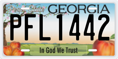 GA license plate PFL1442