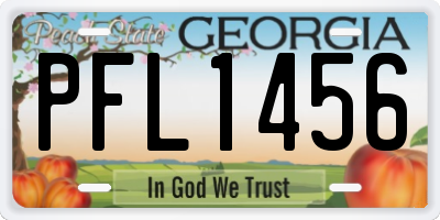 GA license plate PFL1456