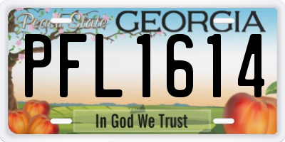 GA license plate PFL1614