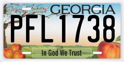 GA license plate PFL1738