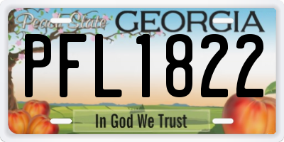 GA license plate PFL1822