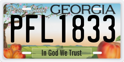 GA license plate PFL1833