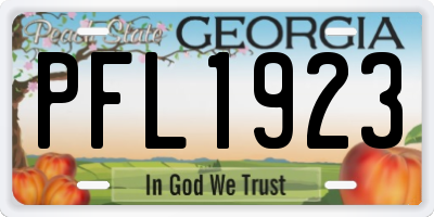 GA license plate PFL1923