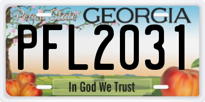 GA license plate PFL2031