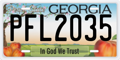 GA license plate PFL2035