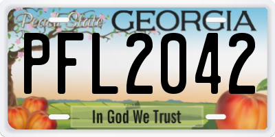 GA license plate PFL2042