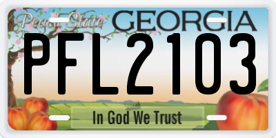 GA license plate PFL2103