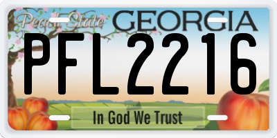 GA license plate PFL2216