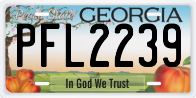 GA license plate PFL2239