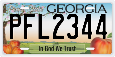 GA license plate PFL2344