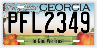 GA license plate PFL2349