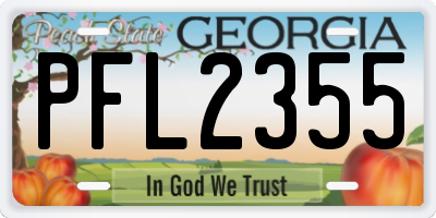 GA license plate PFL2355