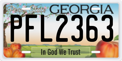 GA license plate PFL2363