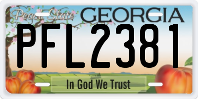GA license plate PFL2381