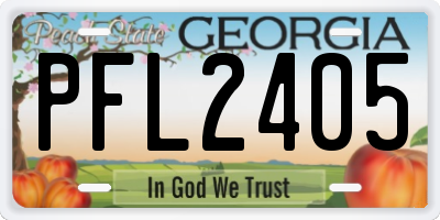GA license plate PFL2405