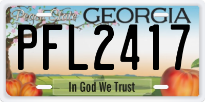 GA license plate PFL2417