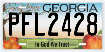 GA license plate PFL2428