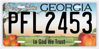 GA license plate PFL2453