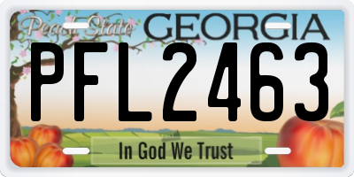 GA license plate PFL2463