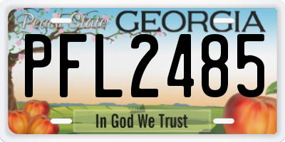 GA license plate PFL2485