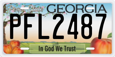 GA license plate PFL2487