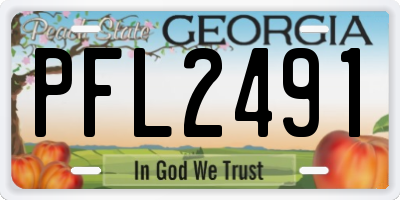 GA license plate PFL2491