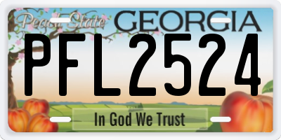 GA license plate PFL2524
