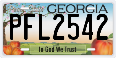 GA license plate PFL2542