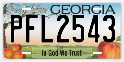 GA license plate PFL2543