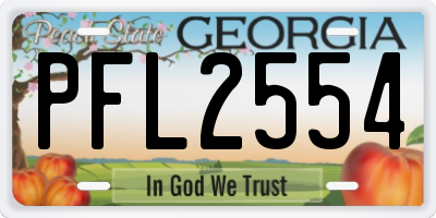 GA license plate PFL2554
