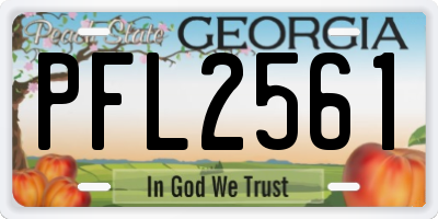 GA license plate PFL2561